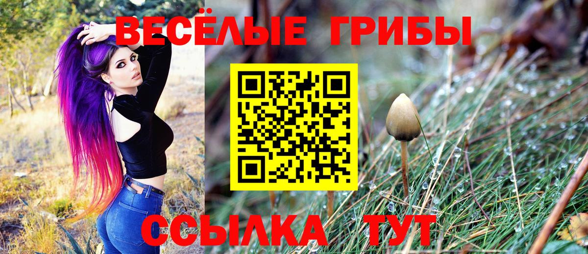 Галлюциногенные грибы Magic Shrooms Армавир