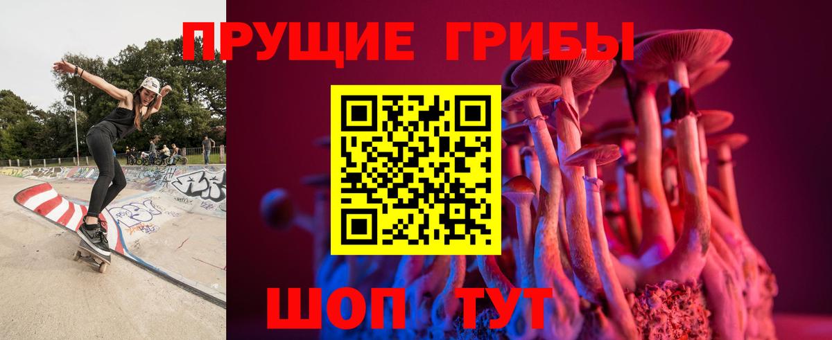 Галлюциногенные грибы Psilocybine cubensis  Галлюциногенные грибы Cubensis  Вход с VPN  Армавир 